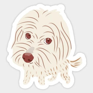 Big Head Maltipoo Dog Sticker